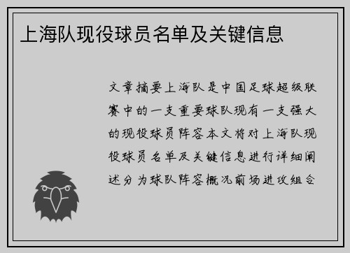 上海队现役球员名单及关键信息
