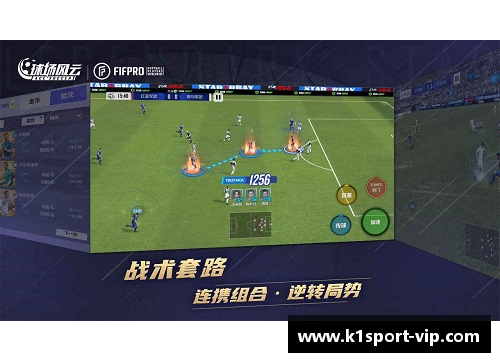 海外华人足球风云：微博解读球场纷争