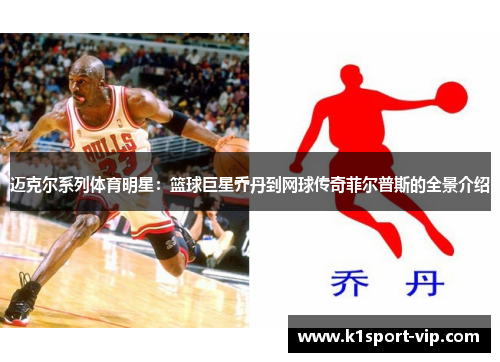 迈克尔系列体育明星：篮球巨星乔丹到网球传奇菲尔普斯的全景介绍