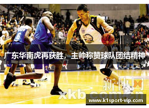 广东华南虎再获胜，主帅称赞球队团结精神